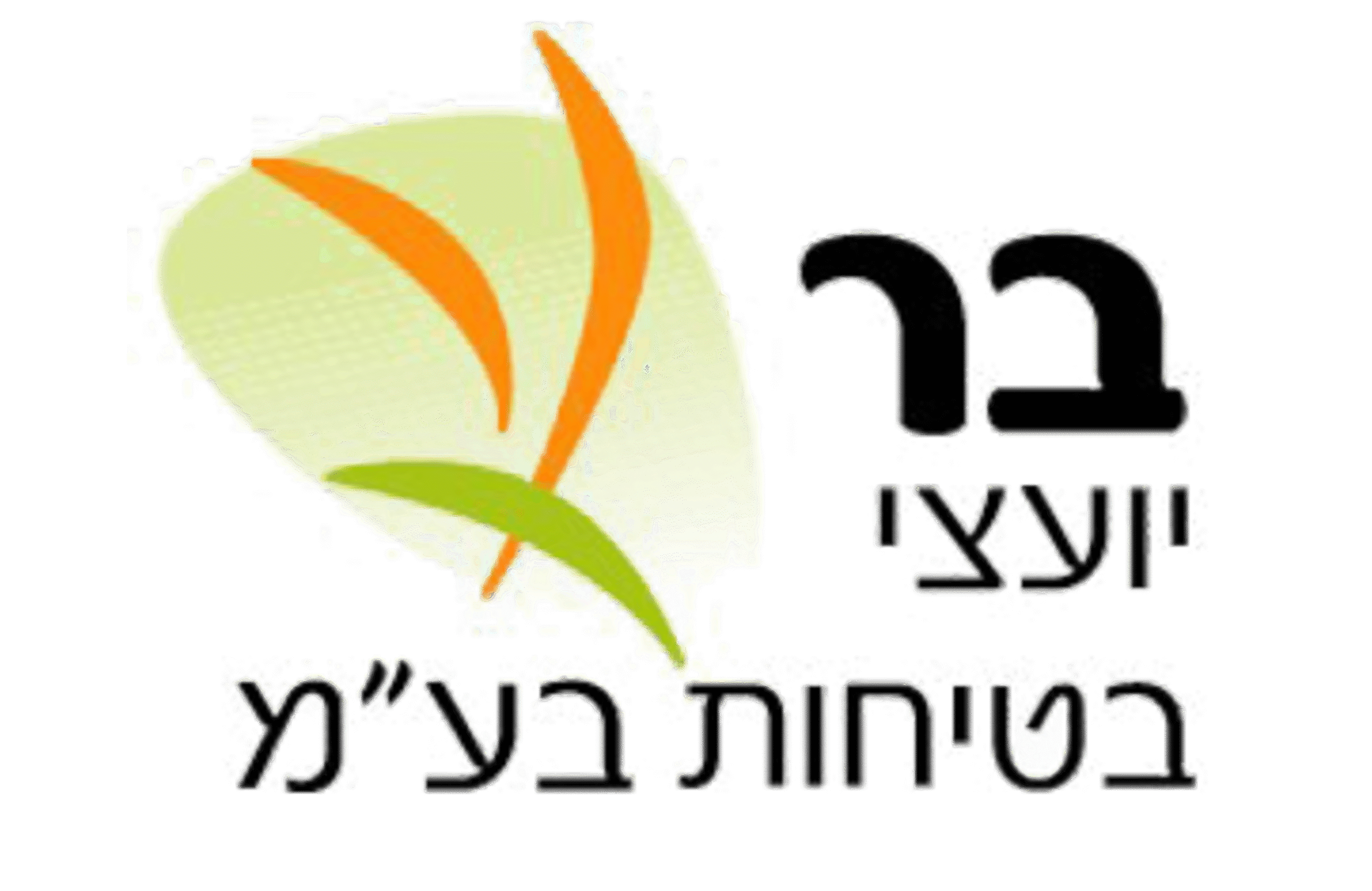 בר בטיחות (1)